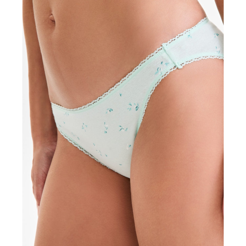 Charter Club Women's Mint Green Everyday Cotton Briefs