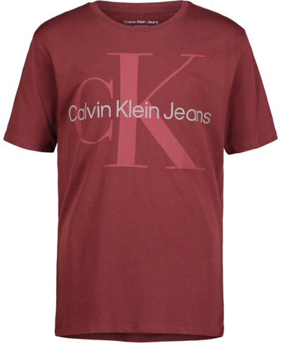 Calvin Klein Boy's Brown T-Shirt ABFK622 shr