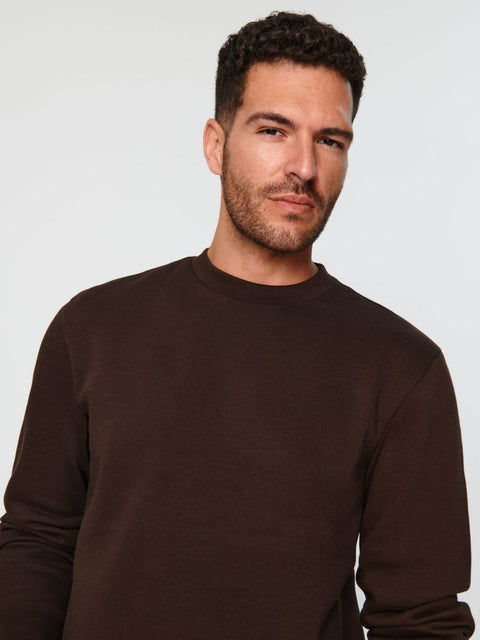 Sinsay Men's Brown Regular Fit Sweatshirt | Sinsay In Lebanon