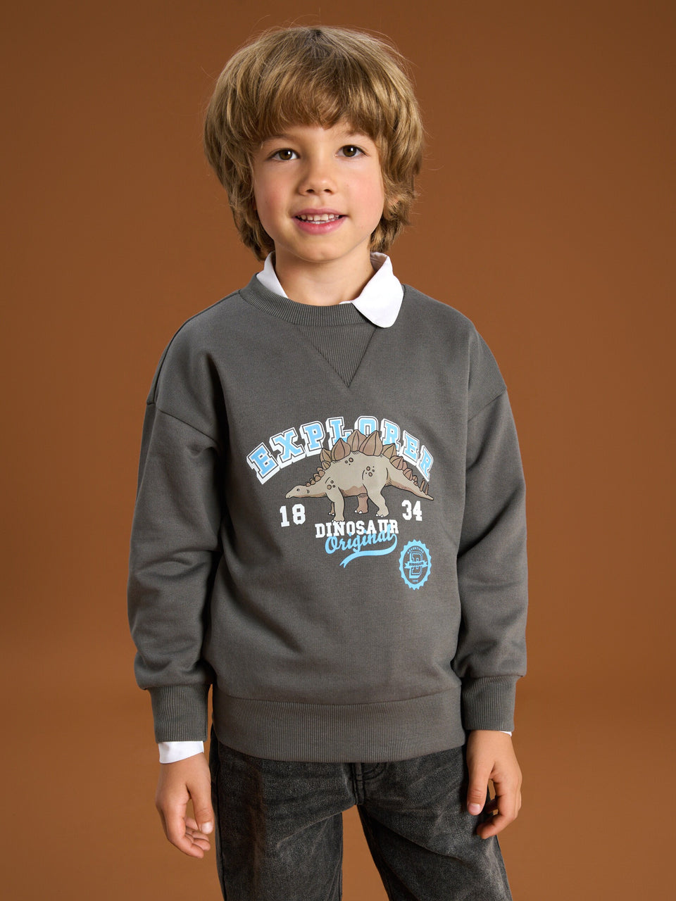 Sinsay Boy's Grey Printed Sweatshirt | Sinsay In Lebanon