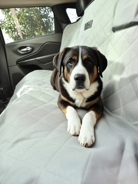 Sinsay Grey Car Mat For Dog | Sinsay In Lebanon
