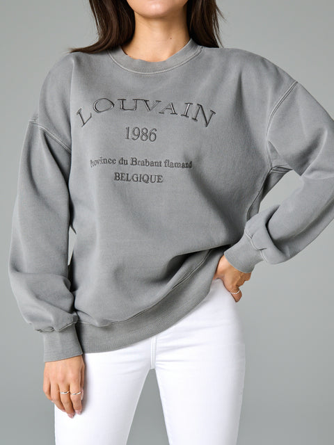 Sinsay Women's Gray Printed Crew Neck Long Sleeve Sweatshirt|Sinsay In Lebanon