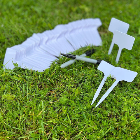 Sinsay White Garden Pot Plant Labels 10-Pcs | Sinsay In Lebanon