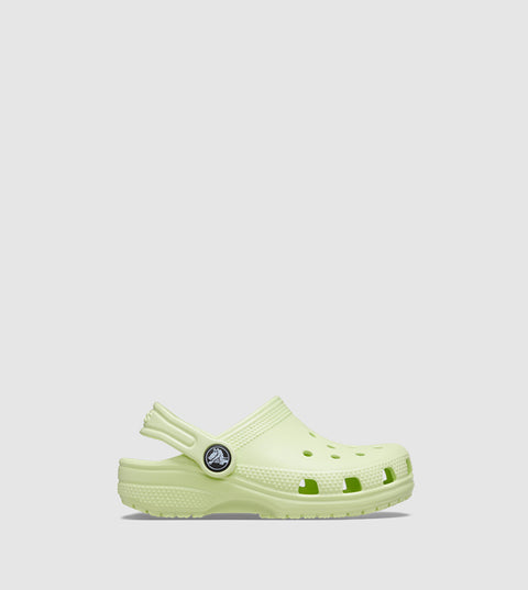 Light green clog shoe on a white background