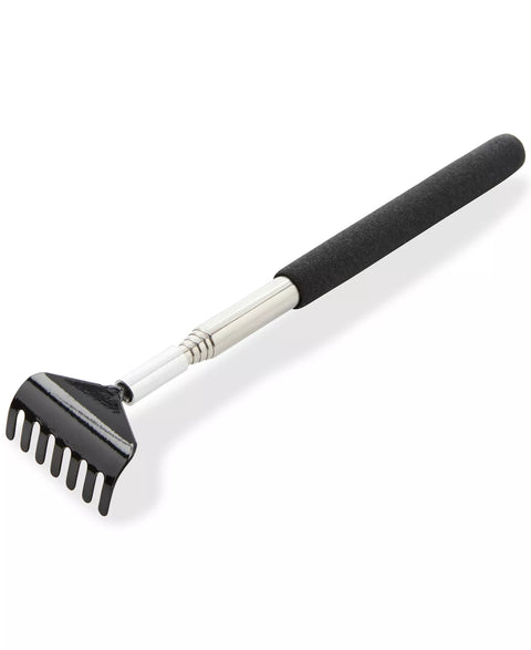 PERRY ELLIS PORTFOLIO  Men Black Accessories  | PERRY ELLIS PORTFOLIO In Lebanon