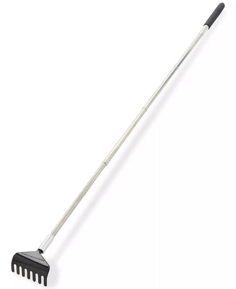 PERRY ELLIS PORTFOLIO  Men Black Accessories  | PERRY ELLIS PORTFOLIO In Lebanon