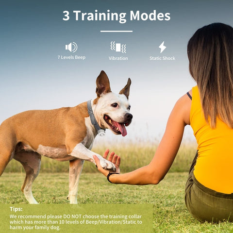 Electric dog training collar with remote control (rechargeable) AM175