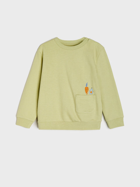Sinsay Baby Boy's Light Green Sweatshirt With Print | Sinsay In Lebanon