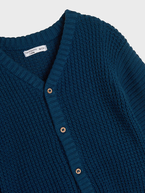 Sinsay Baby Boy's Navy V-Neck Sweater | Sinsay In Lebanon