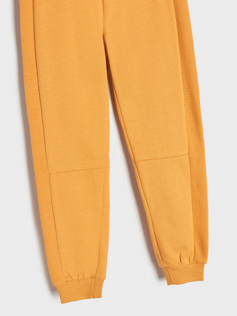 Sinsay Boy's Wheat Sweatpants With Decorative Stitching | Sinsay In Lebanon