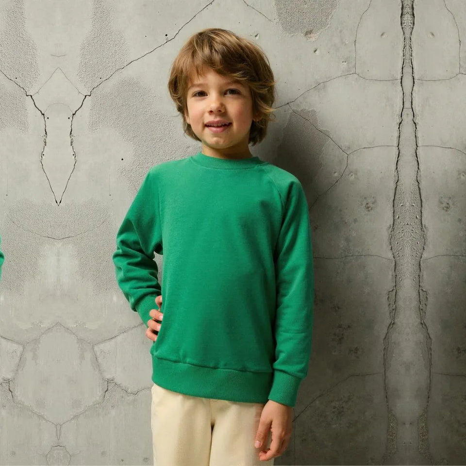 Sinsay Boy's Green Ribbed Cuffs Crew Neckline Sweatshirt