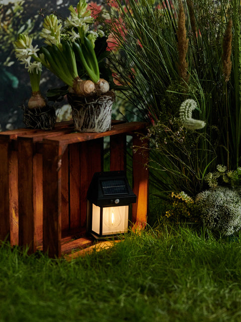 Sinsay Warm White Solar Garden Lamp 800mAh | Sinsay In Lebanon