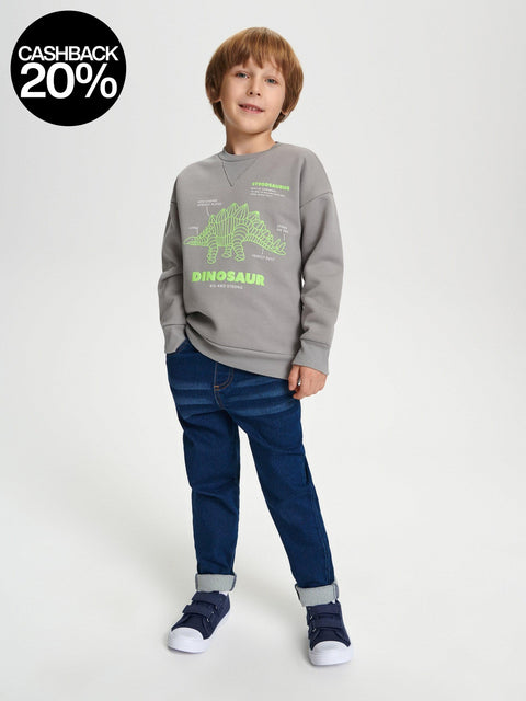 Child wearing a gray sweatshirt with a green dinosaur graphic and text on a white background