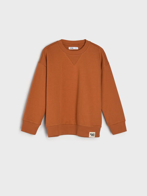 Sinsay Baby Boy's Yellow & Brown Long Sleeve Set Of 2 Pieces Sweatshirt | Sinsay In Lebanon