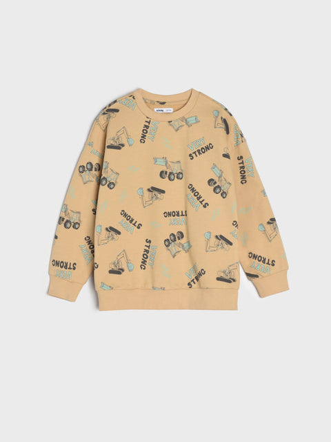 Sinsay Boy's Blue & Beige Pack Of 2 Sweatshirts | Sinsay In Lebanon