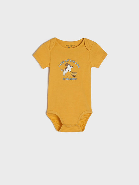 Sinsay Baby Boy's Multicolor Pack Of 5 Bodysuits | Sinsay In Lebanon