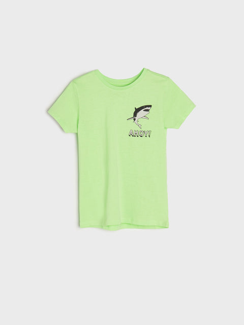 Sinsay Baby Boy's Light Green T-Shirt With A Print | Sinsay In Lebanon