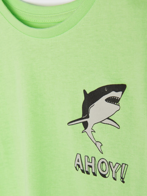 Sinsay Baby Boy's Light Green T-Shirt With A Print | Sinsay In Lebanon