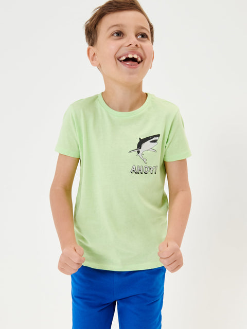 Sinsay Baby Boy's Light Green T-Shirt With A Print | Sinsay In Lebanon