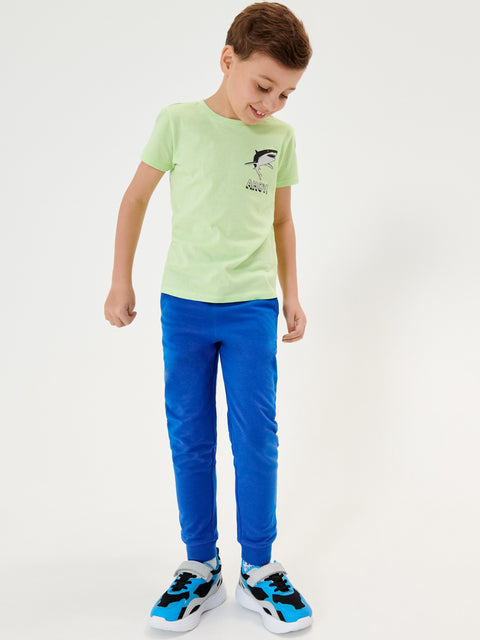 Sinsay Baby Boy's Light Green T-Shirt With A Print | Sinsay In Lebanon