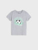 Sinsay Boy's T-Shirt Gray AYA