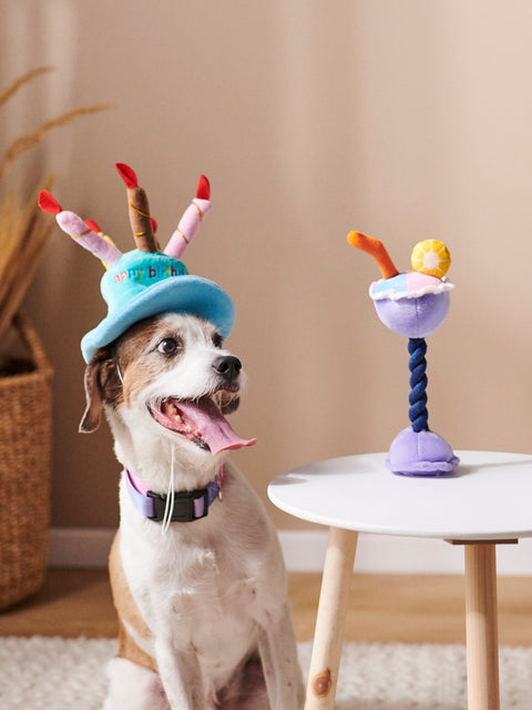 Sinsay Purple  Drink-Shaped Pet Toy| Sinsay in Lebanon