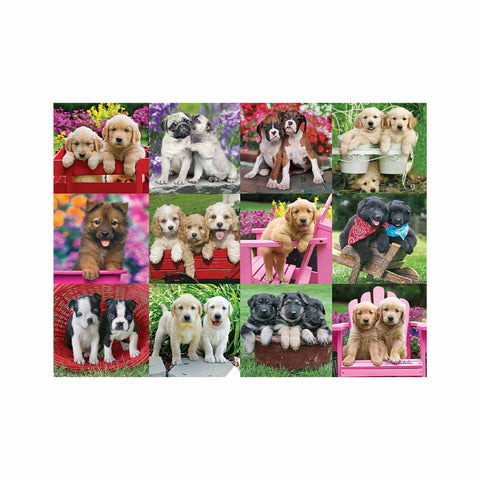 Ravensburger Puppy Pals 500 Piece Jigsaw Puzzle | Ravensburger In Lebanon