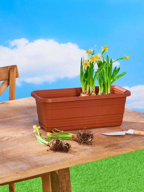 Sinsay Brown Flowerpot | Sinsay In Lebanon