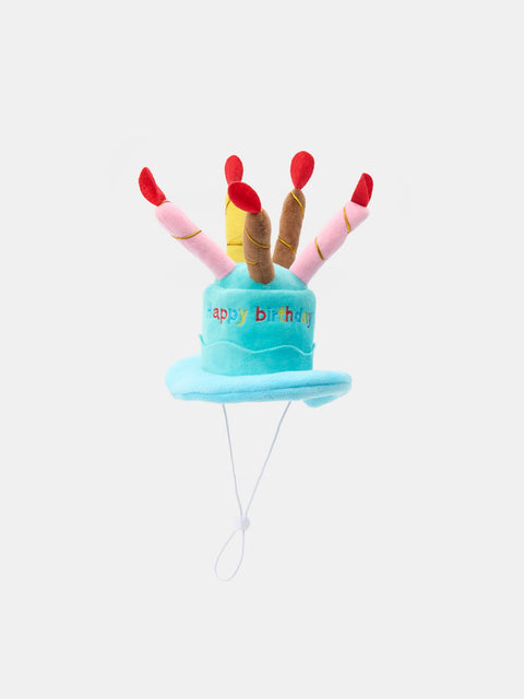 Sinsay Blue Pet Hats | Sinsay In Lebanon
