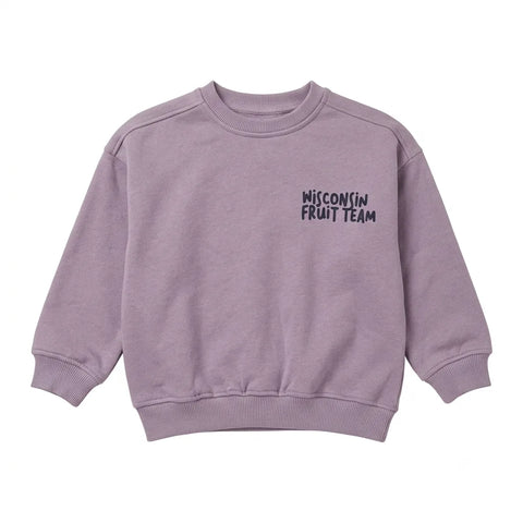 Zara Girl's Lilac Chest Print Sweatshirts | Zara In Lebanon