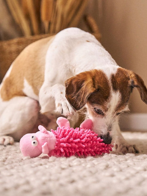 Sinsay Pink Pet Toy | Sinsay In Lebanon