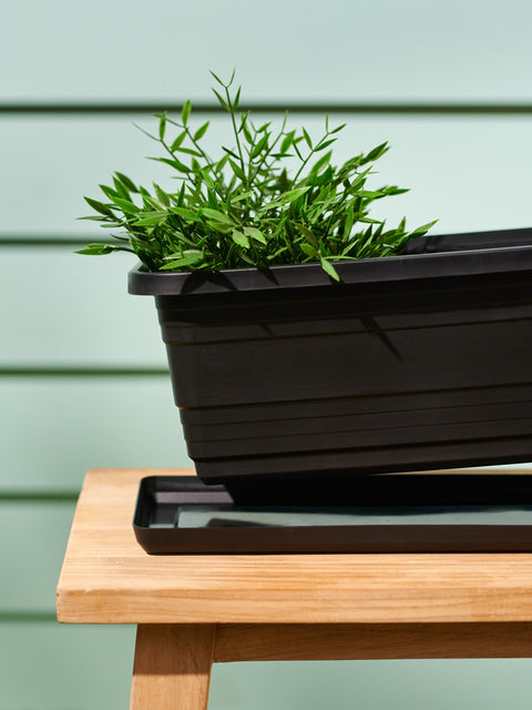 Sinsay Black Garden Accessories | Sinsay In Lebanon