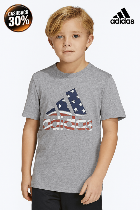 Adidas Boy's Gray T-Shirt ABFK2071