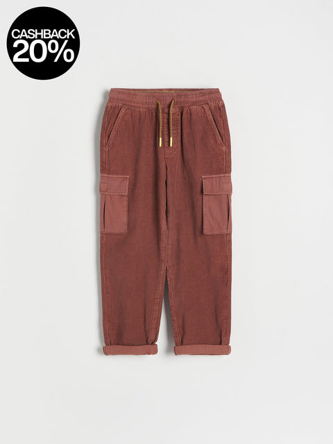 Brown cargo pants with gold zippers on a white background