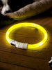 Sinsay Yellow LED Dog Collar | Sinsay In Lebanon
