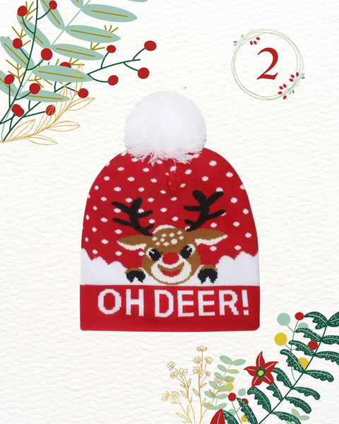 SD Christmas Cuffed Acrylic Beanie SD423
