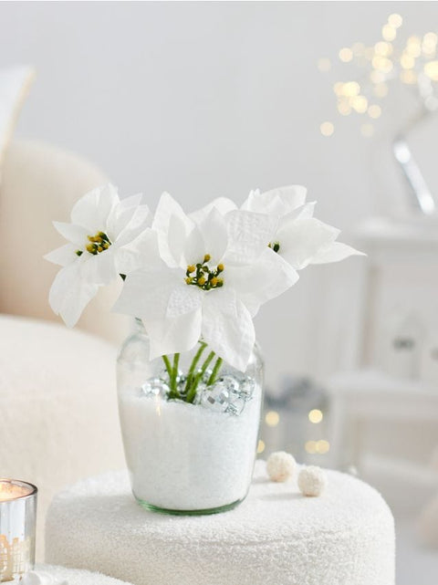 Sinsay White Ornamental plant |Sinsay In Lebanon