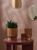 Sinsay Brown Round Hotchpotch 12 cm x 13.5 cm | Sinsay In Lebanon