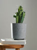 Sinsay Home Grey Fabric-Effect Decorative Plant Pot Cover | Sinsay in Lebanon