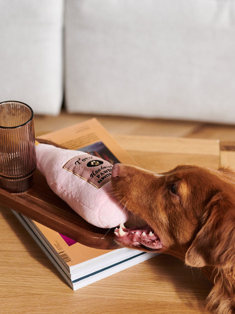 Sinsay Pink Dog Toy | Sinsay In Lebanon