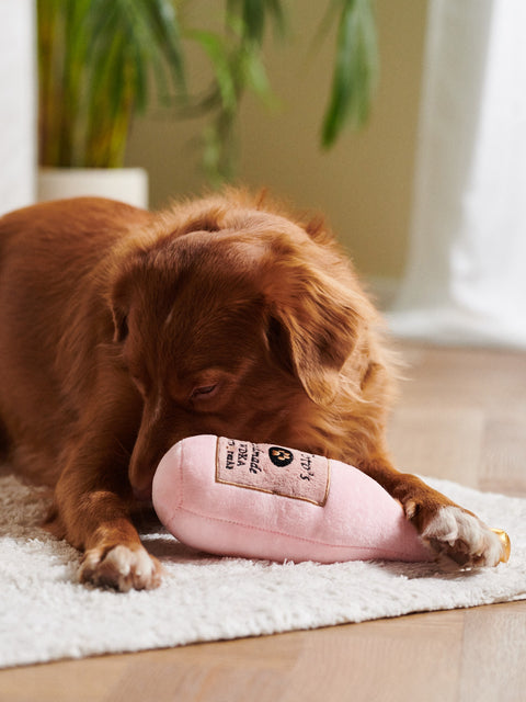Sinsay Pink Dog Toy | Sinsay In Lebanon