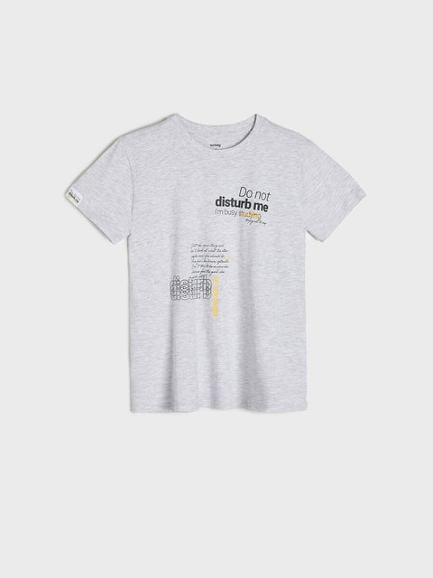 Sinsay Boy's Light Gray Do Not Disturb Me T-Shirt | Sinsay In Lebanon