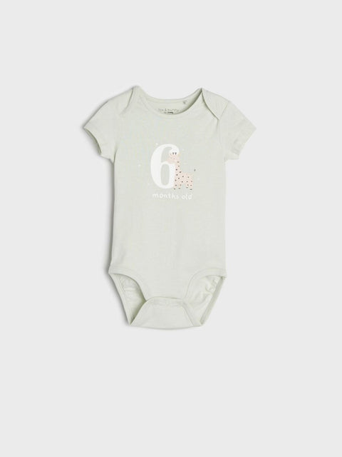 Sinsay Fox & Bunny Baby's Light Aqua Bodysuit | Sinsay In Lebanon