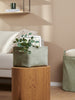Sinsay Home Sage Green Corduroy 33 cm x 23 cm x 20 cm Storage Box | Sinsay in Lebanon