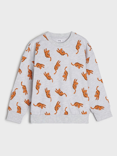 Sinsay Boy's Light Grey Sweatshirt With Print | Sinsay In Lebanon