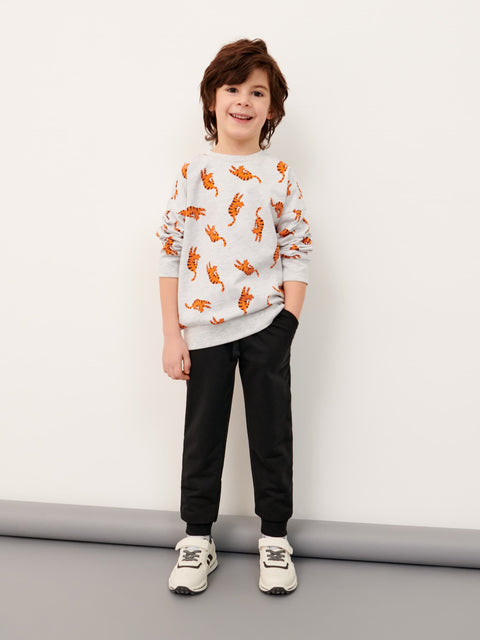 Sinsay Boy's Light Grey Sweatshirt With Print | Sinsay In Lebanon
