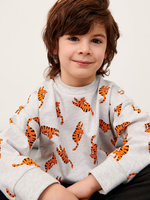 Sinsay Boy's Light Grey Sweatshirt With Print | Sinsay In Lebanon