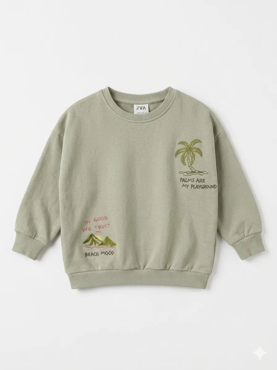 Zara Baby Boy's Sage Green Graphic Pullover Sweatshirt | Zara In Lebanon