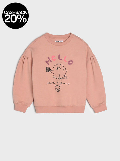 Pink sweatshirt with 'Hello' and sheep graphic on a light gray background