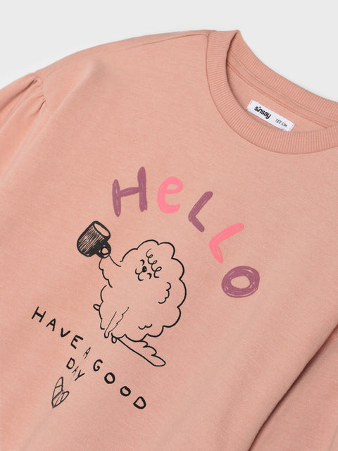 Pink sweatshirt with cartoon sheep and text on a light gray background